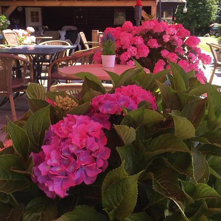 Boerderijcamping Plantlust Veere Exteriör bild