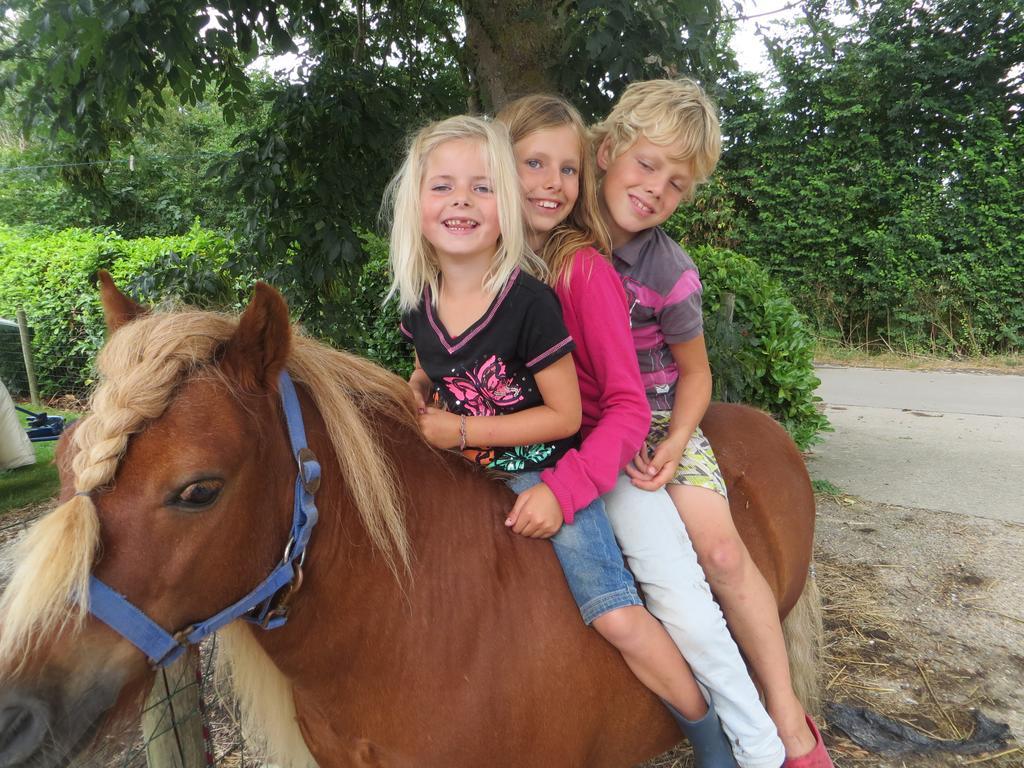 Boerderijcamping Plantlust Veere Rum bild