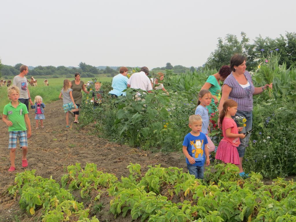 Boerderijcamping Plantlust Veere Rum bild