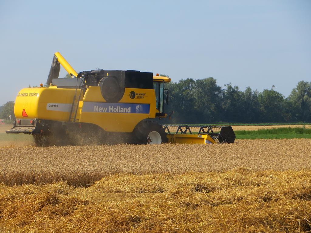 Boerderijcamping Plantlust Veere Rum bild