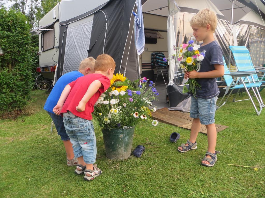 Boerderijcamping Plantlust Veere Rum bild