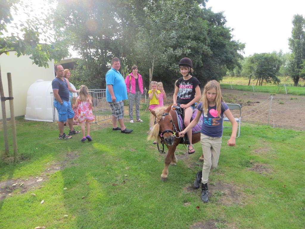Boerderijcamping Plantlust Veere Rum bild